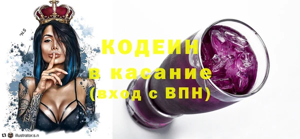 соль ск Дмитров