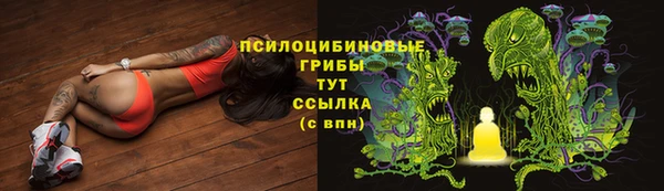 соль ск Дмитров