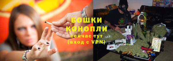 соль ск Дмитров