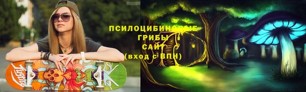 МДМА Дмитровск