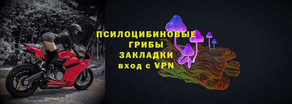 соль ск Дмитров