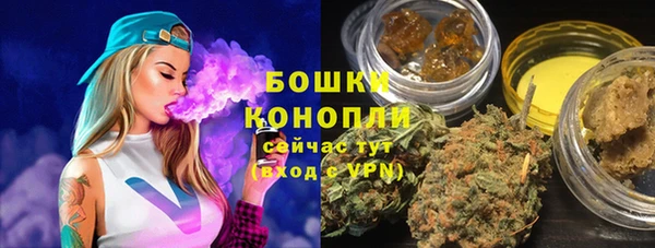 соль ск Дмитров