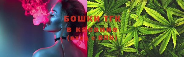 соль ск Дмитров