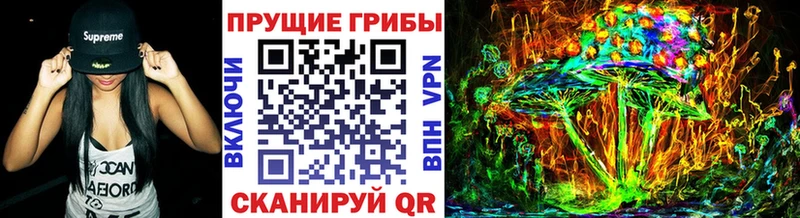 Купить закладки  Похвистнево  Галлюциногенные грибы прущие грибы 